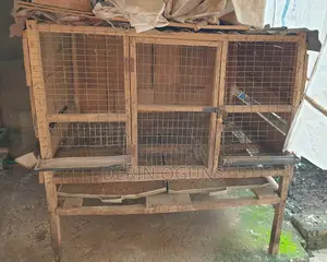 Chicken Cage