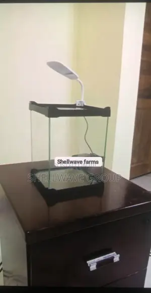 Aquarium Fish Tank