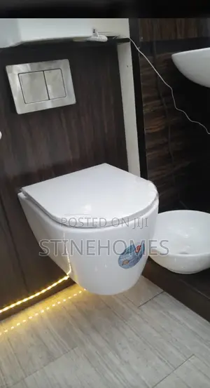 Conceal/ Wall Hung Wc