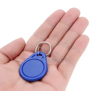 RFID Key Tags for Access Control - 100 Pieces