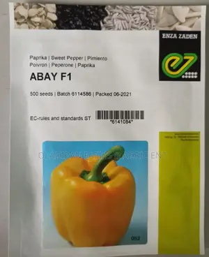 Enza Zaden Abay F1