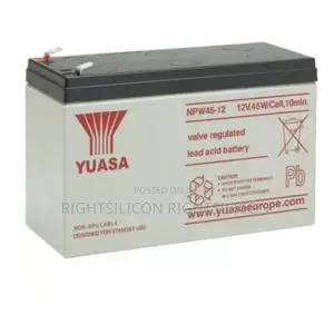 USA Yuasa NPW45-12 Rechargeable Sealed Lead Acid Battery