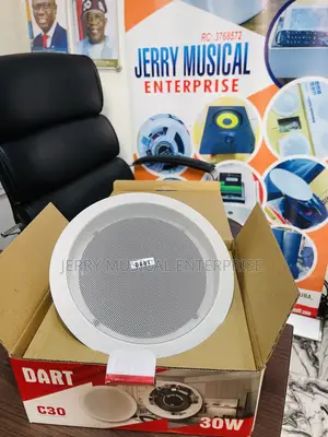 Play Sound Differently Ceiling Speakers