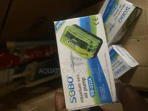 Single Outlet Air Pump