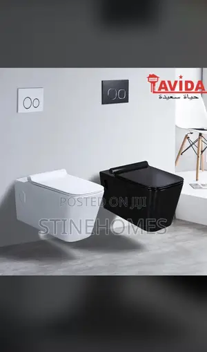 Concealed/Wall Hung Wc