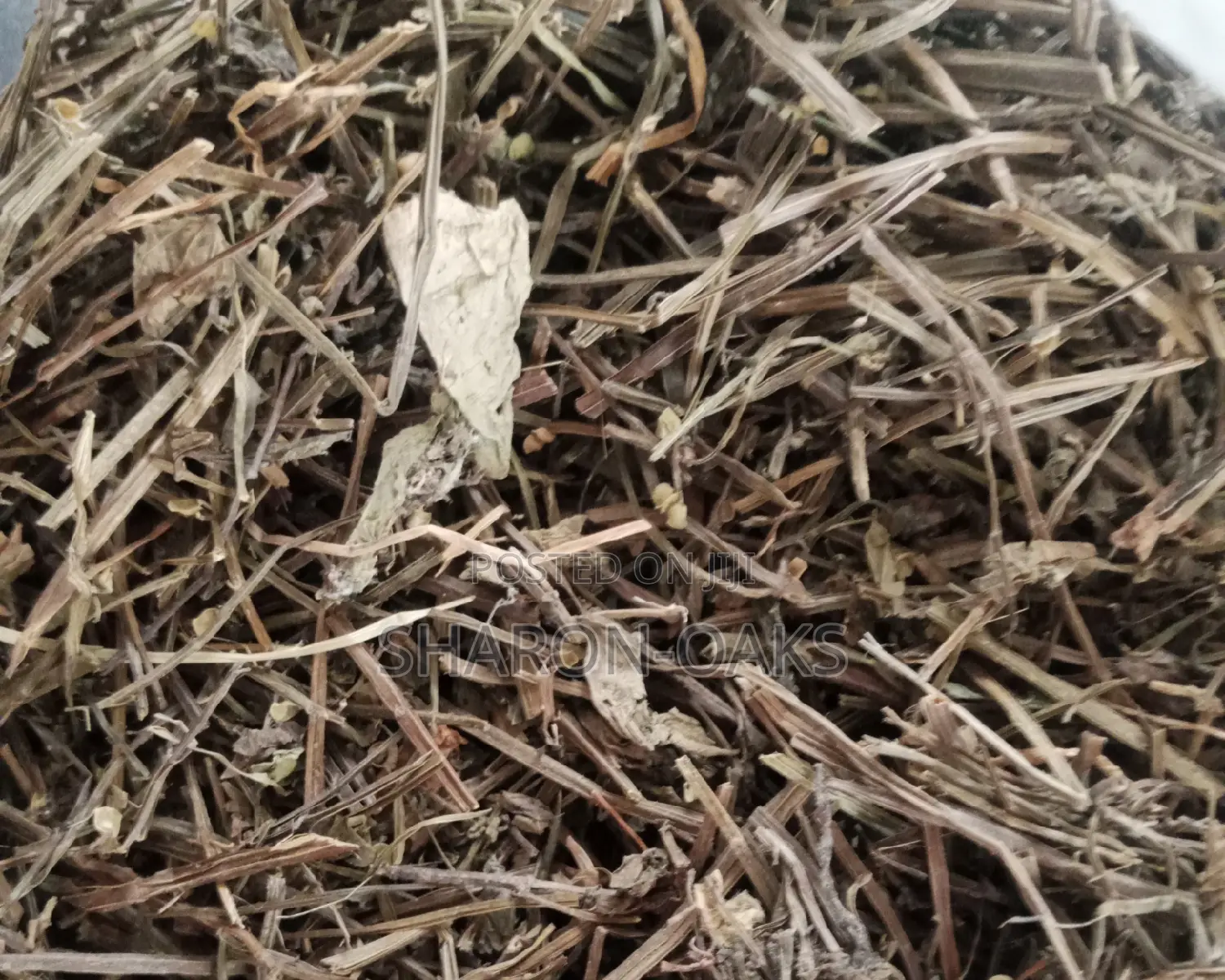 Skullcap Herb 100g