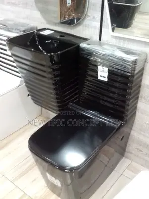 Master Black Seat With Hanging Basin
