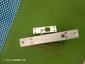Electrical Bolt Lock