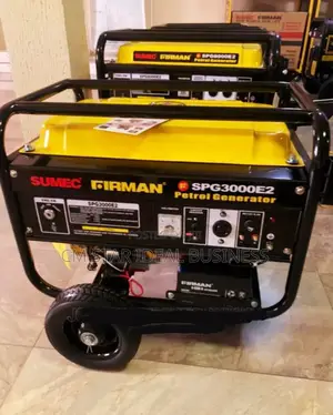 Sumec Firman 3000e2 Key Starter Long Copper Coil Generators