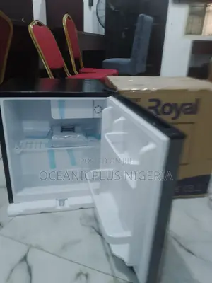 Top Best 45litre Royal Bed Side Compact Refrigerator