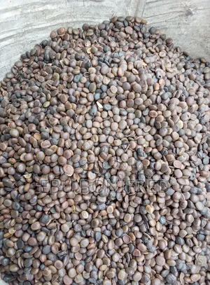 1 Kg of Black Coffee
