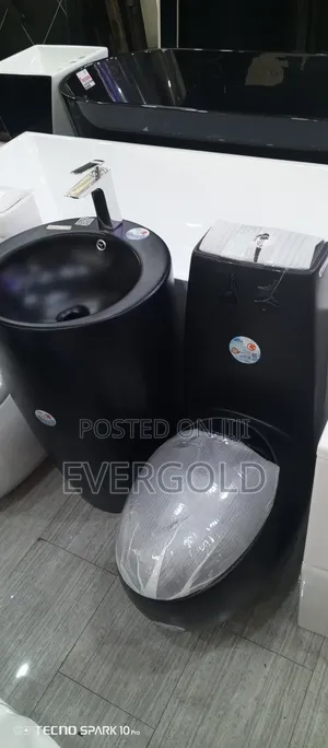 Executive Eggs Shape Water Closet With Stand Pedstar Basin