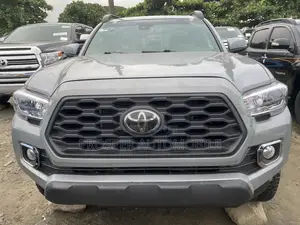 Toyota Tacoma Limited 2019 Silver