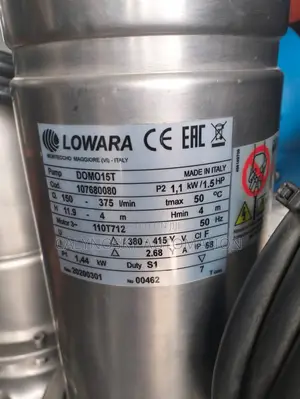 Lowara Sewage Pump