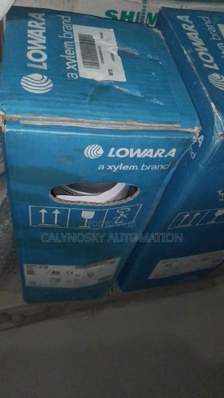 Lowara Sewage Pump