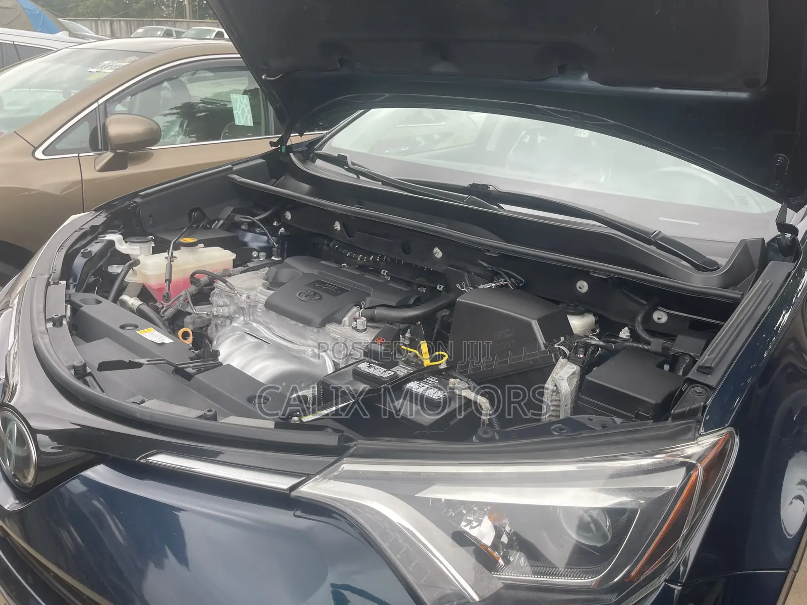 Toyota RAV4 2019 Blue