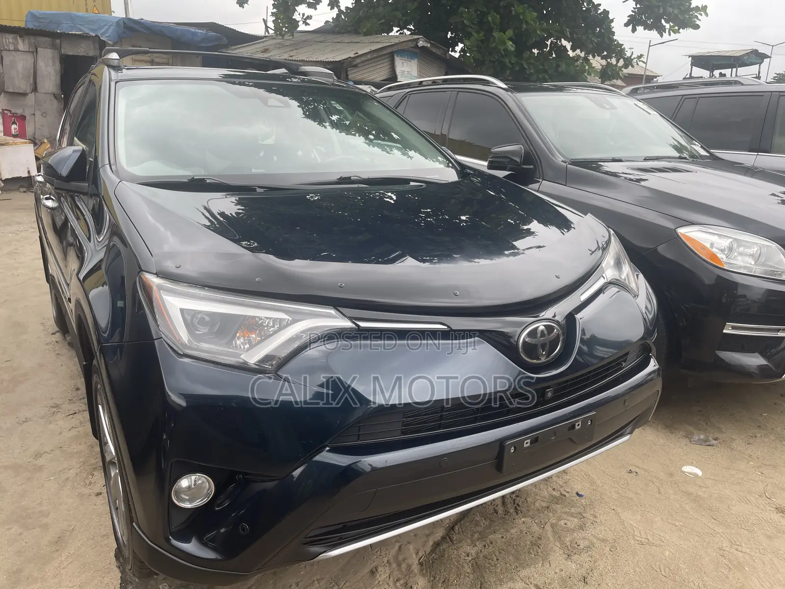 Toyota RAV4 2019 Blue