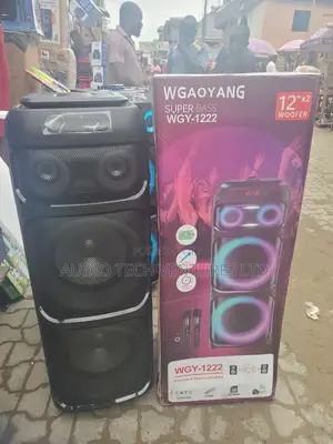 Wgaoyang Super Bass Wgy-1222