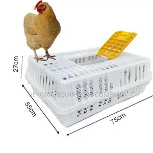 Comfortable Chicken Transport Crate for Stress-Free Travel