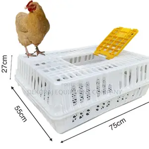 Robust Chicken Transport Crate for Heavy-Duty Use