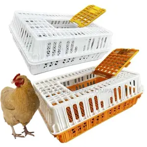 Weather-Resistant Chicken Transport Crate for All Conditions