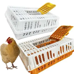 High-capacity Chicken Transport Crate For Large Flocks