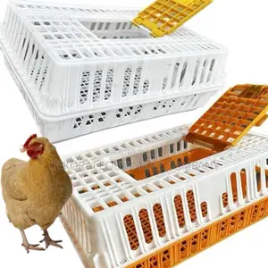 Foldable Chicken Transport Crate for Compact Storage