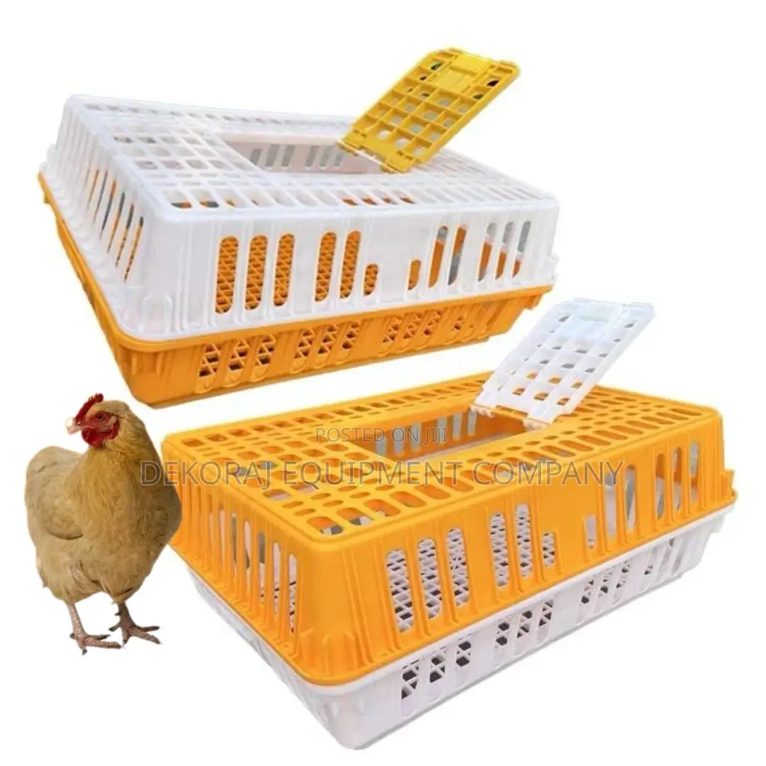 Affordable Chicken Transport Crate Without Compromise