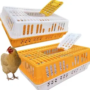 Innovative Chicken Transport Crate for Modern Farmers