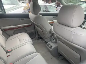 Lexus RX 350 AWD 2009 Gray