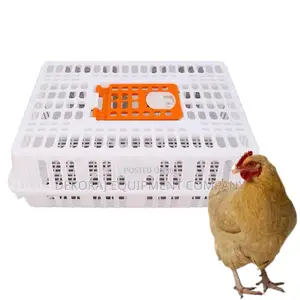 Uv-Protected Chicken Transport Crate for Sun Safety