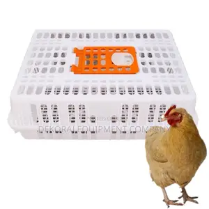 Heavy-Duty Chicken Transport Crate With Reinforced Base