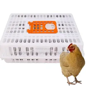 Chicken Transport Crate With Secure Ventilation Slots