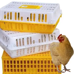 Chicken Transport Crate With Enhanced Durability