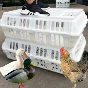Chicken Transport Crate With Secure Latches