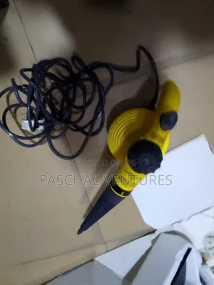 Steamer Used in Removing Stains