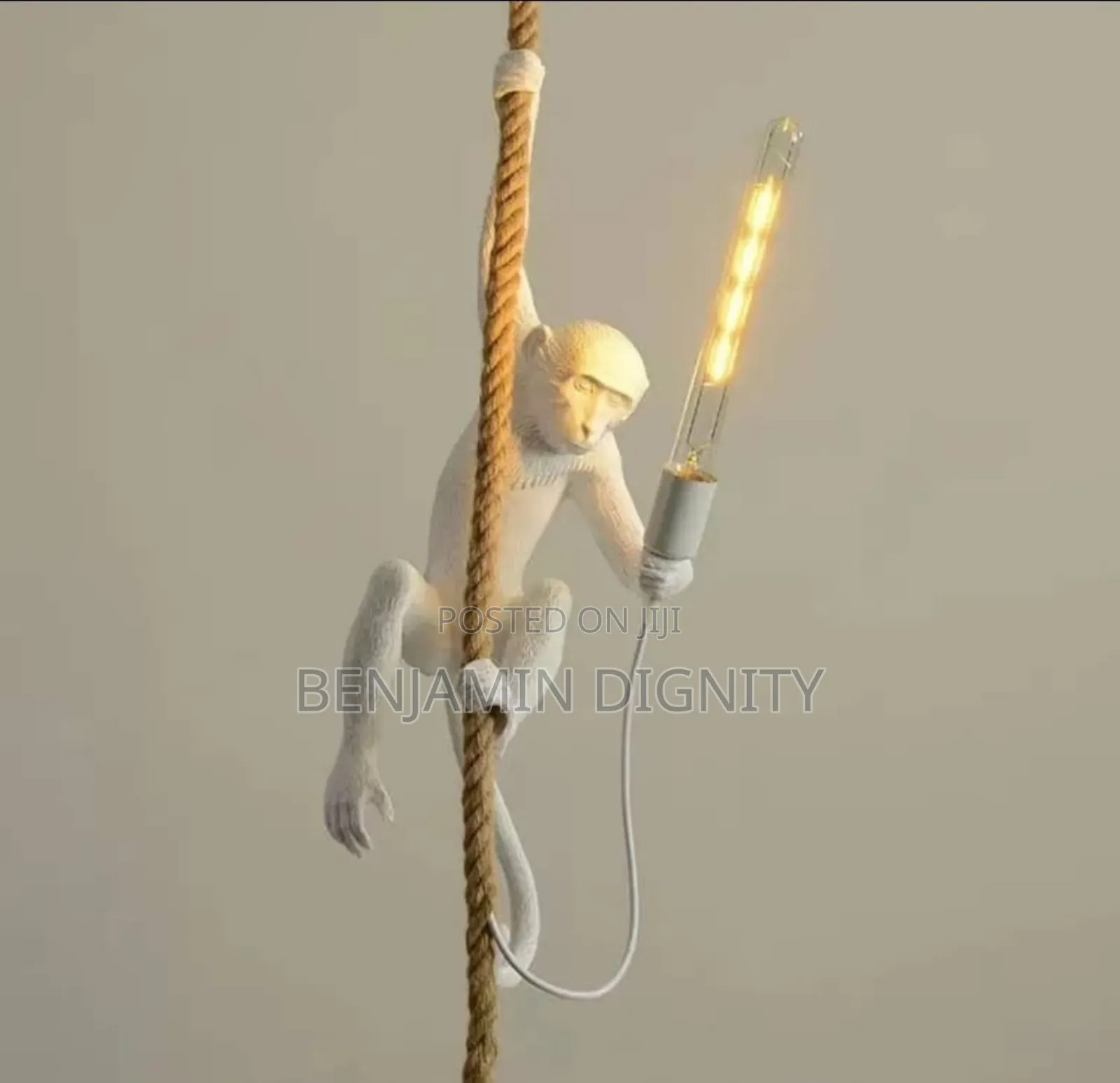 Monkey Pendant Light
