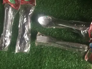 Stainless Steel Spoon and Fork