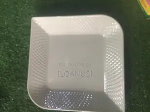 Quality Ceramics Plate