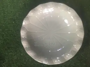 Quality Ceramics Plate