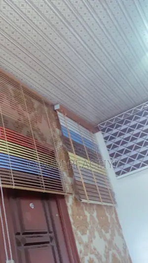 Window Blinds