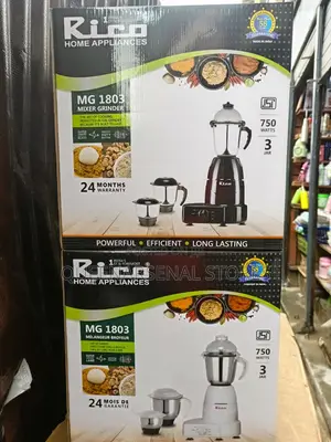 Heavy Duty Rico Blender Mixer and Grinder