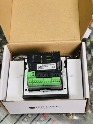 Lucky Tone Tuya 4inches Smart in Wall Amplifier