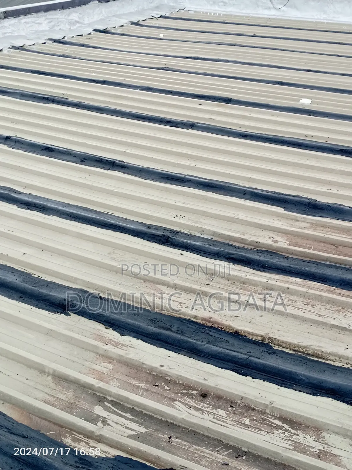 Gruff Roof Waterproofing Expertise