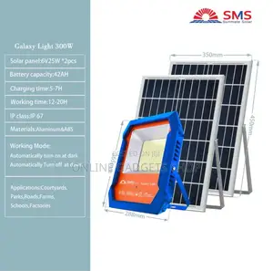 100w Courtyard Flood Light