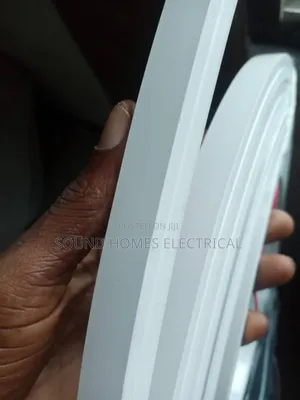 220 Volts Neon Strip Lights
