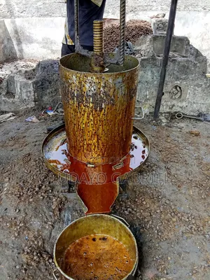 Palm Oil Pressers for Sale