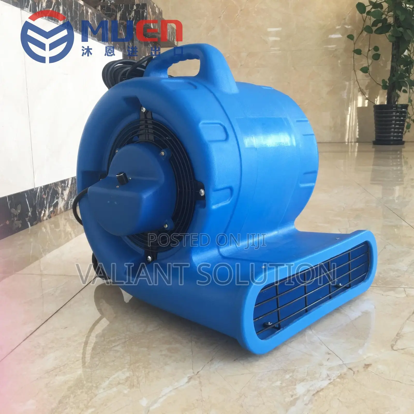 Ground Blower/ Carpet Dryer