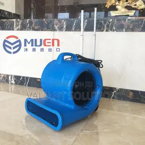 Ground Blower/ Carpet Dryer
