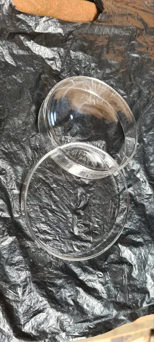 Petri Dish Glass